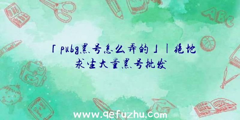 「pubg黑号怎么弄的」|绝地求生大量黑号批发